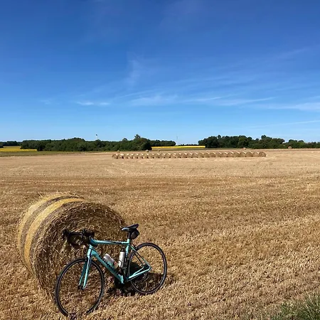 La Ruche לינה וארוחת בוקר