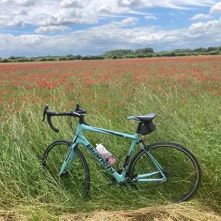 לינה וארוחת בוקר La Ruche Paizay-Naudouin-Embourie